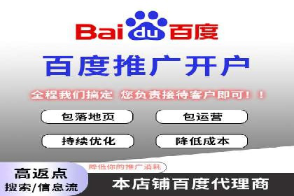 百度竞价广告运营全解析：成功案例揭秘